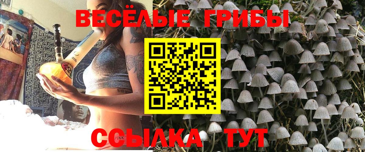 Галлюциногенные грибы Cubensis  Вход с VPN  Кандалакша 